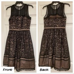 Eliza J, Size 4, Black and Gold/tan dress
